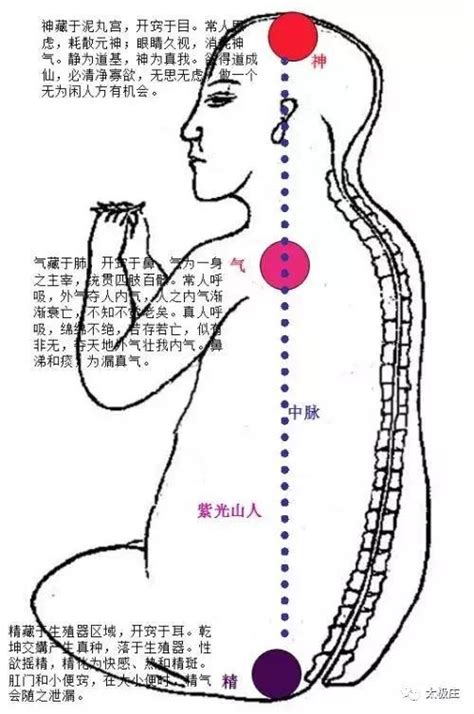 玄關穴|【玄關穴】玄關一竅，啟動通靈奧秘！找出隱藏的「第。